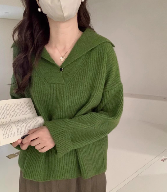 Autumn and winter lapel raccoon fleece sweater ED0330