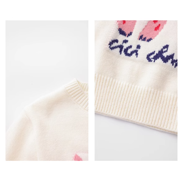 Cat pattern crew neck long sleeve sweater  ED0407