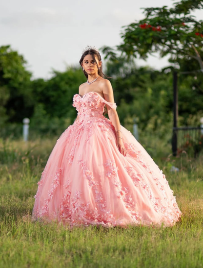 Pink Sweetheart Neck Corset 3D Flower Tulle Ball Gown Sweet 16 Dress Quinceanera Dress SH2162