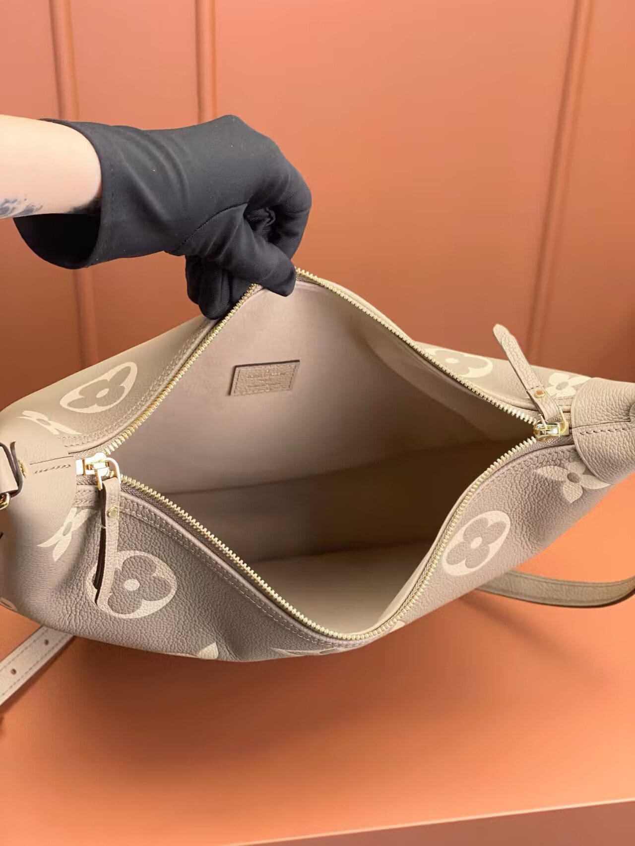 Louis Vuitton Loop Hobo M46738