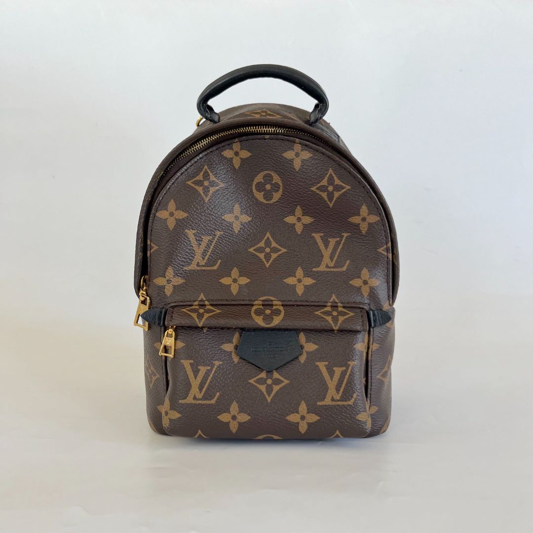 Louis Vuitton Palm Springs Mini Backbag