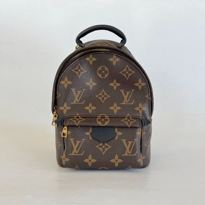 Louis Vuitton Palm Springs Mini Backbag