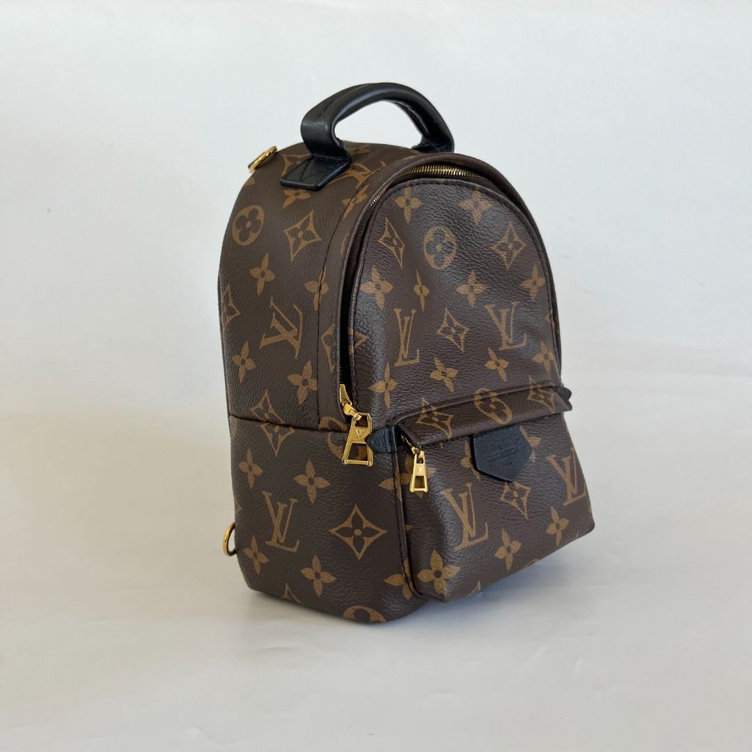 Louis Vuitton Palm Springs Mini Backbag