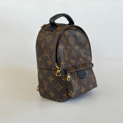 Louis Vuitton Palm Springs Mini Backbag