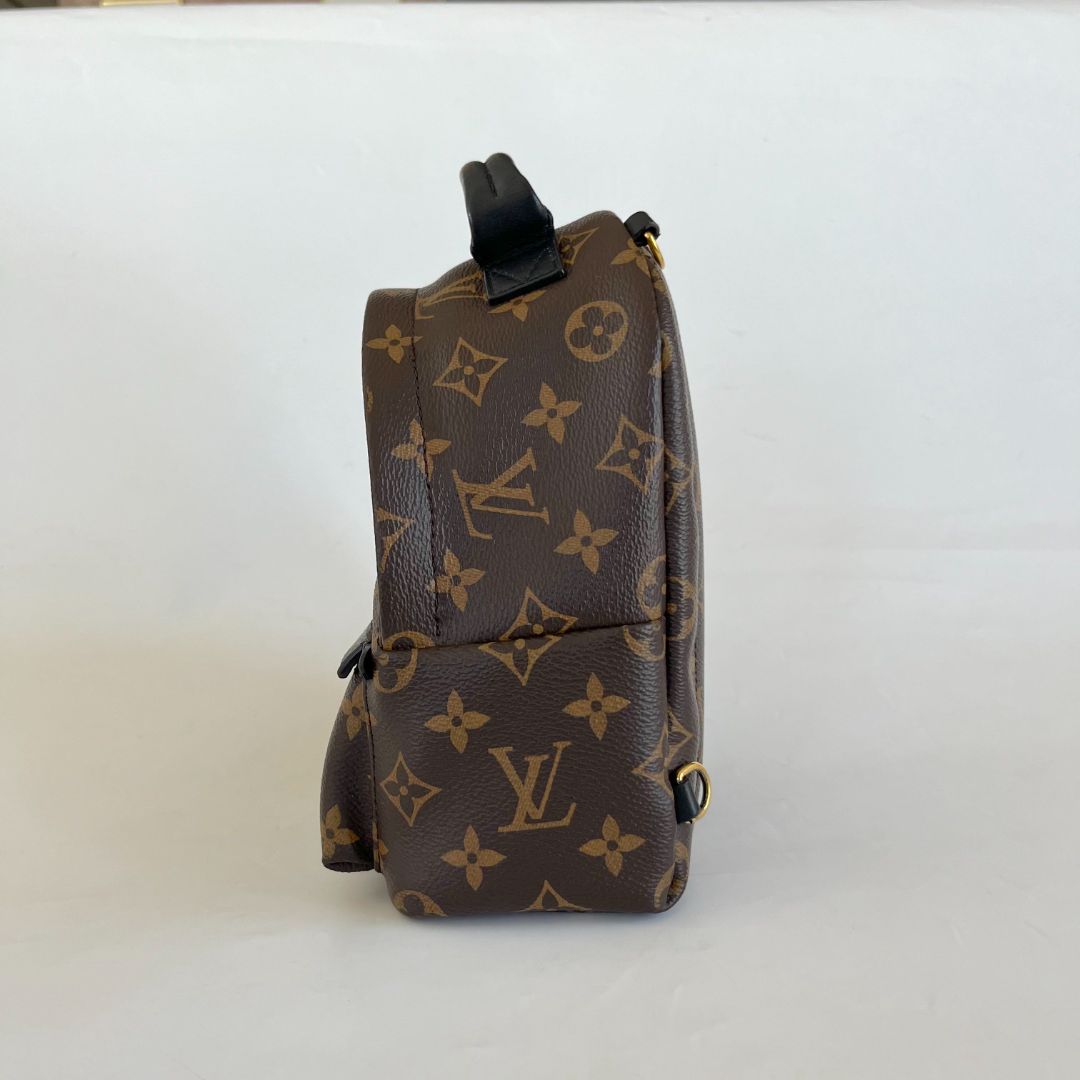 Louis Vuitton Palm Springs Mini Backbag