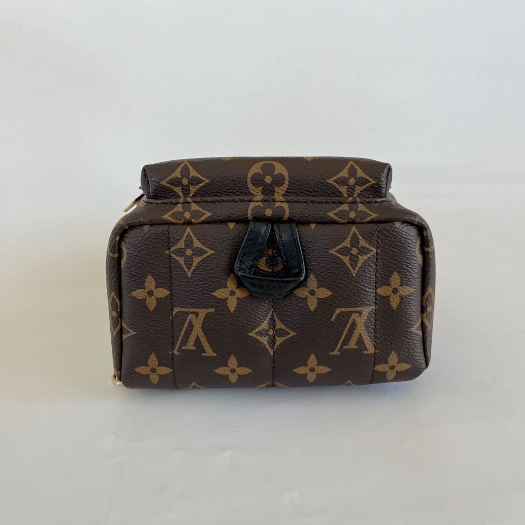 Louis Vuitton Palm Springs Mini Backbag