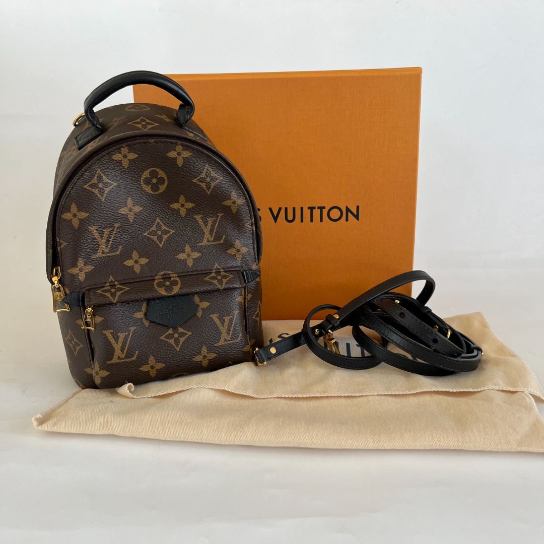 Louis Vuitton Palm Springs Mini Backbag