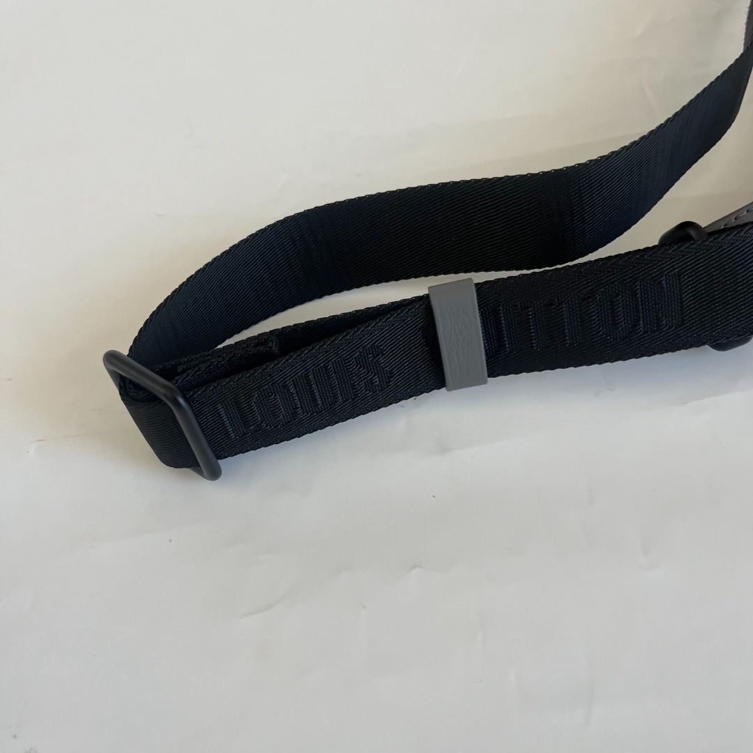 Louis Vuitton Discovery Bumbag monogram shadow bag