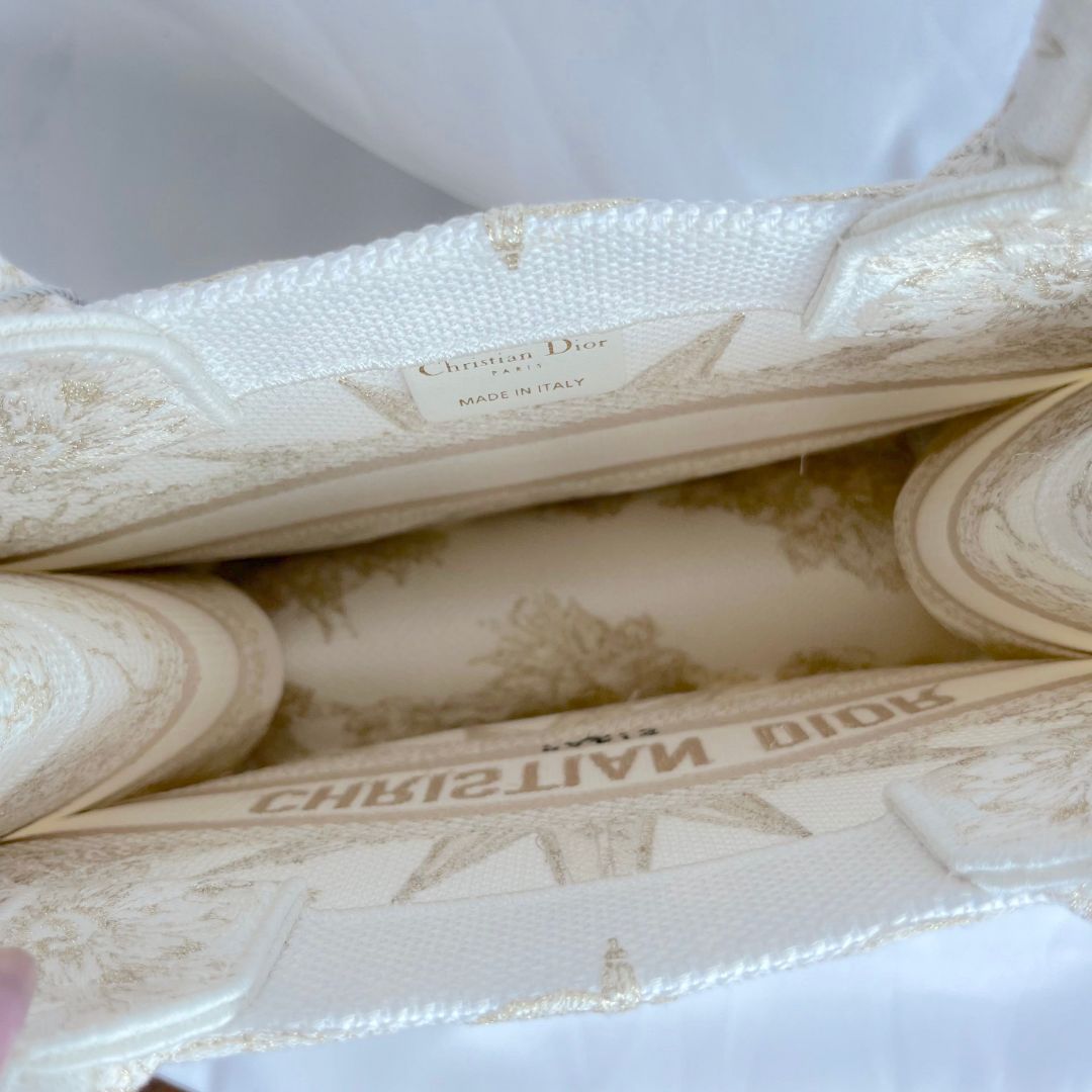 Dior Small Book Tote Bag