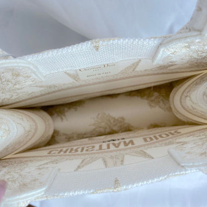 Dior Small Book Tote Bag