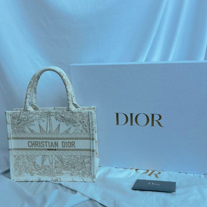 Dior Small Book Tote Bag