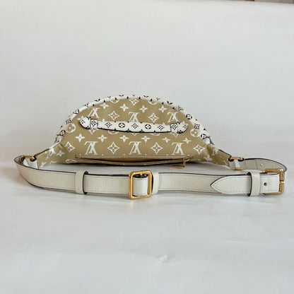 Louis Vuitton Bumbag Limited Runway Giant Monogram