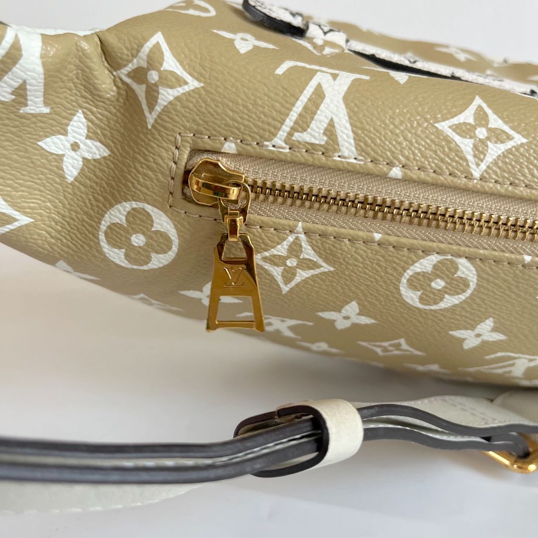 Louis Vuitton Bumbag Limited Runway Giant Monogram