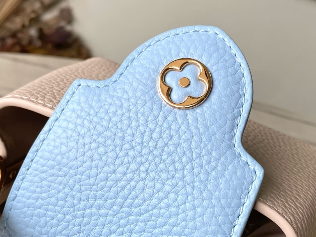 Louis Vuitton M23952 CAPUCINES NANO BAG