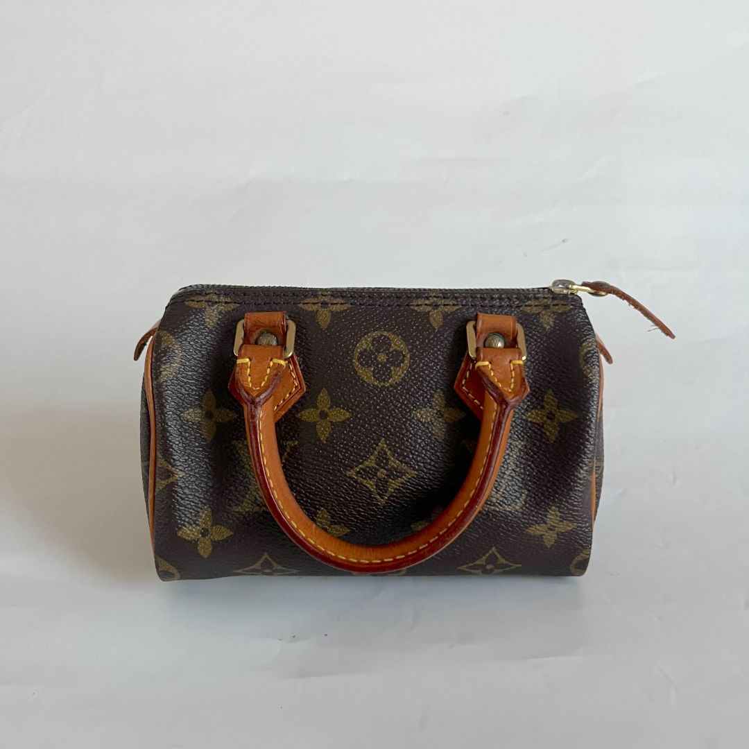 Louis Vuitton Mini Monogram Speedy Bag