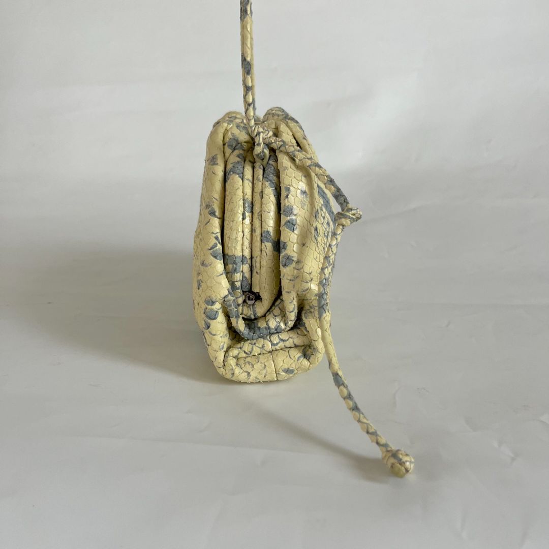 Bottega Veneta Bottega Veneta leather mini bag faded python print,