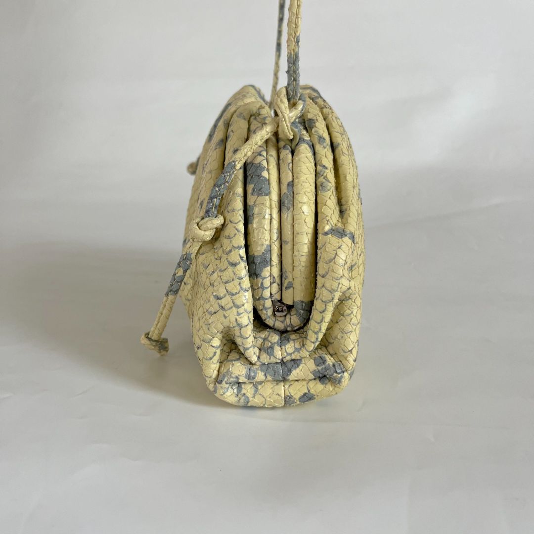 Bottega Veneta Bottega Veneta leather mini bag faded python print,