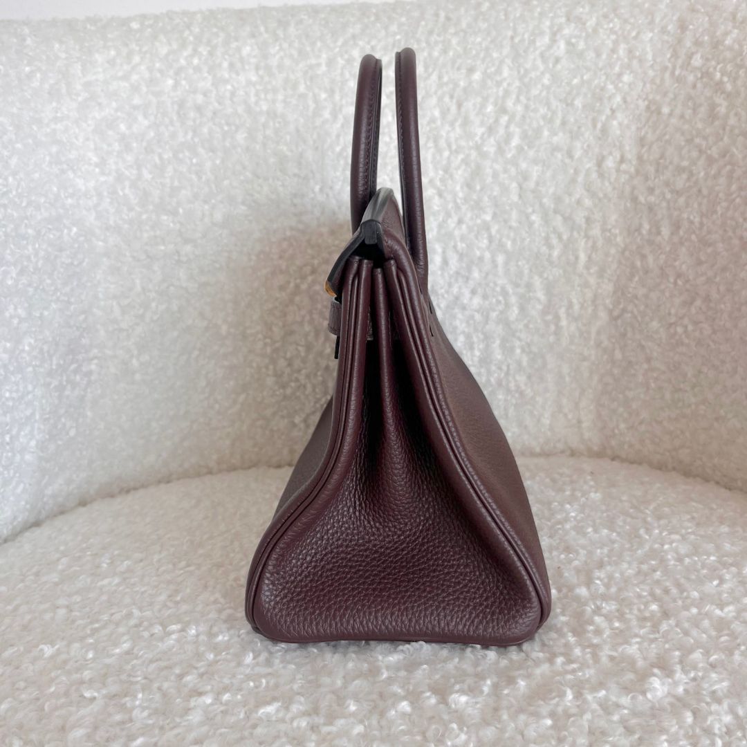 Hermès Birkin 25 Rouge Sellier Togo Bag