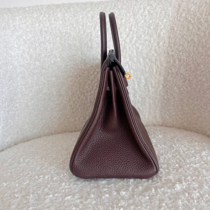 Hermès Birkin 25 Rouge Sellier Togo Bag