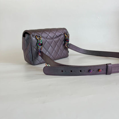 Chanel iridescent 5 in 1 Flap Bag