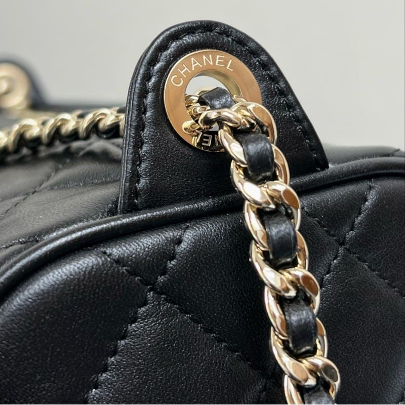 CHANEL Small Camera Case