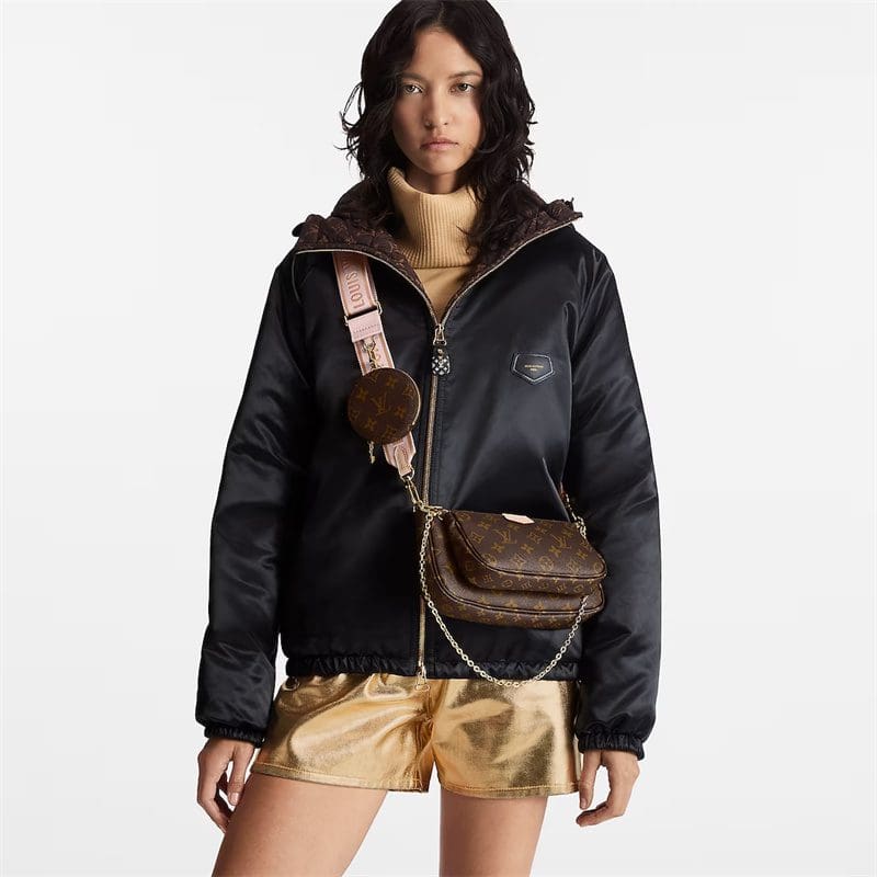 Louis Vuitton Multi Pochette Accessoires M44840