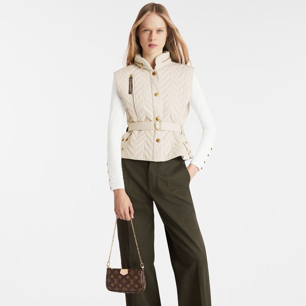 Louis Vuitton Multi Pochette Accessoires M44813