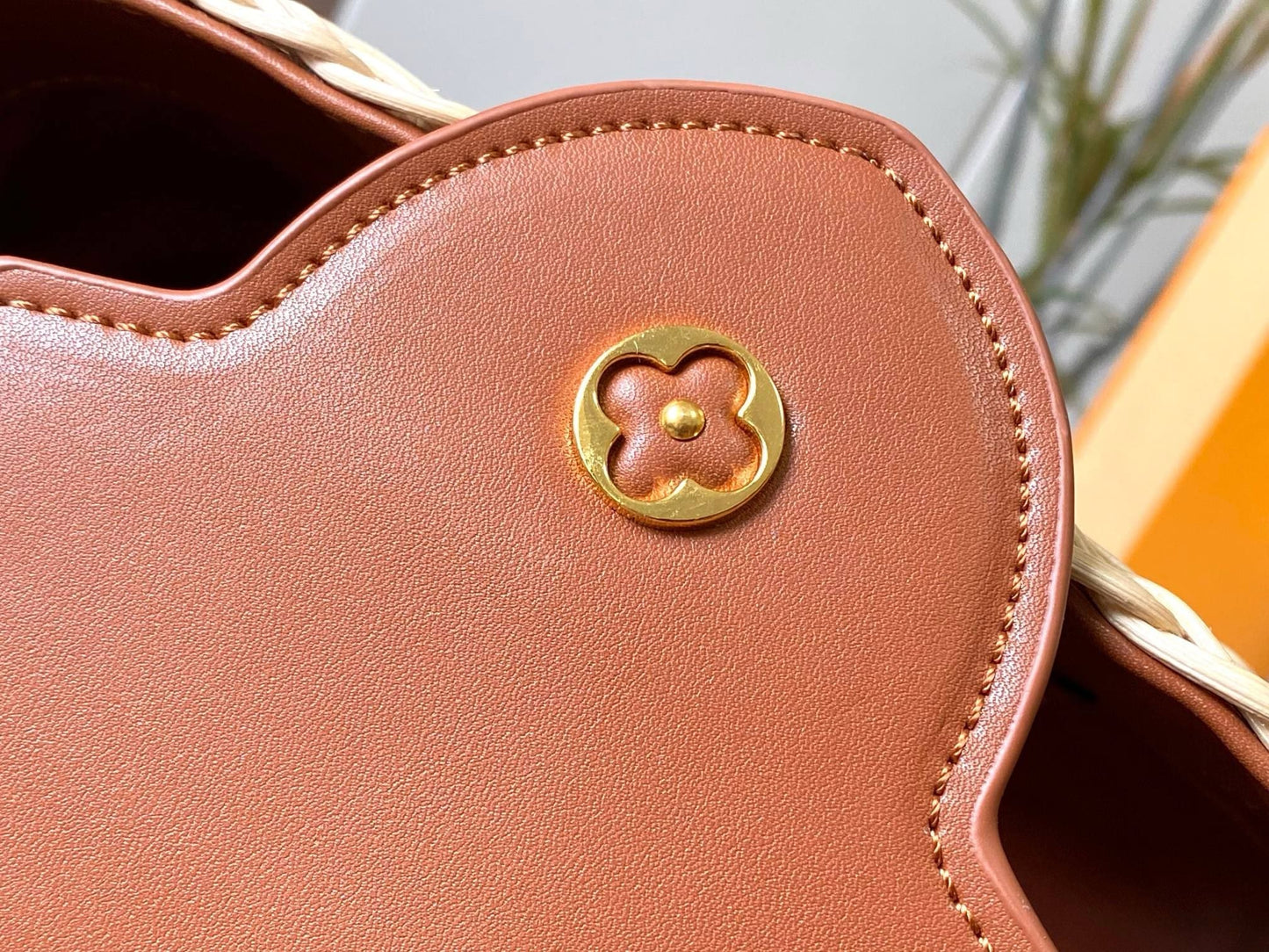 Louis Vuitton M11617 Capucines BB