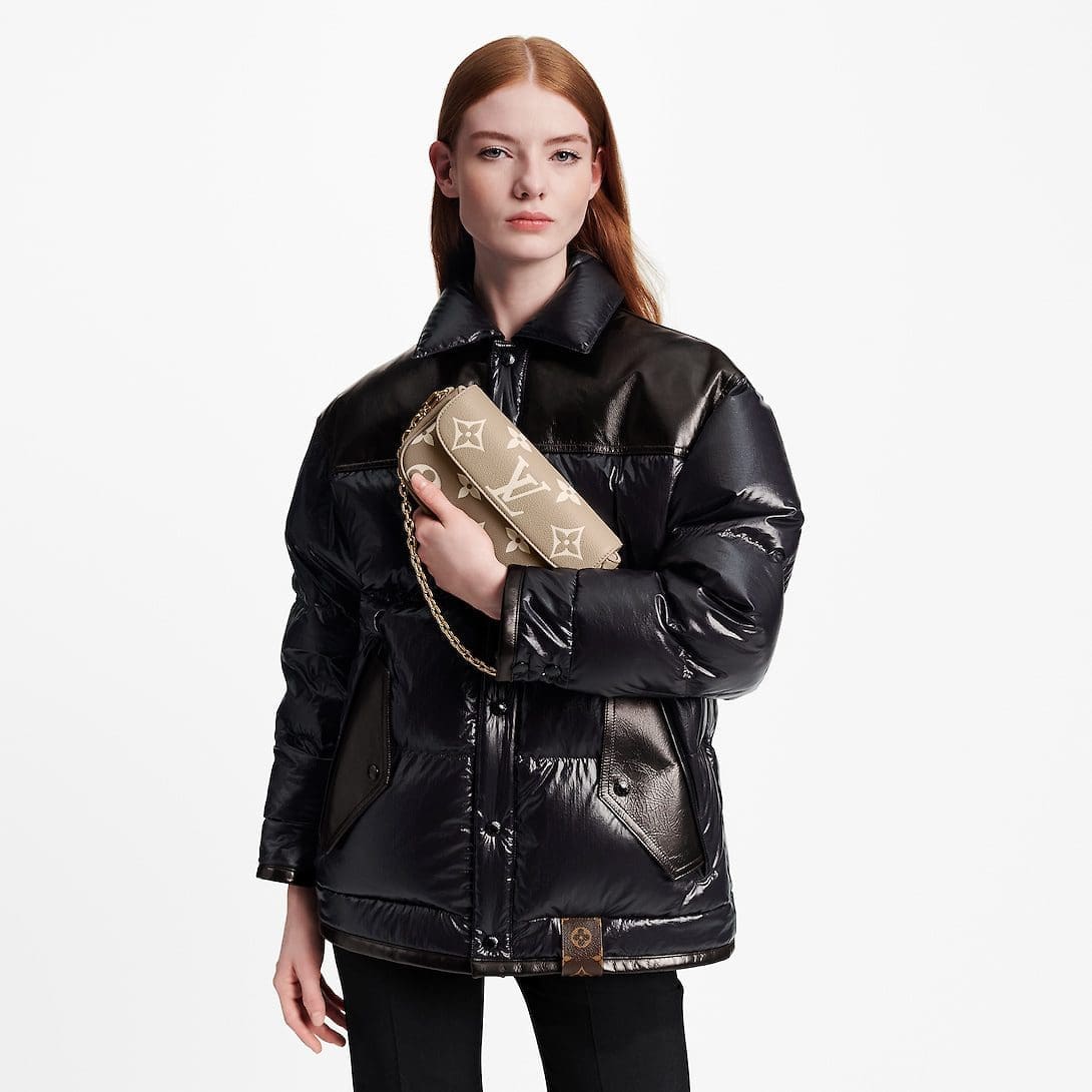 Louis Vuitton M82211 Wallet On Chain Ivy