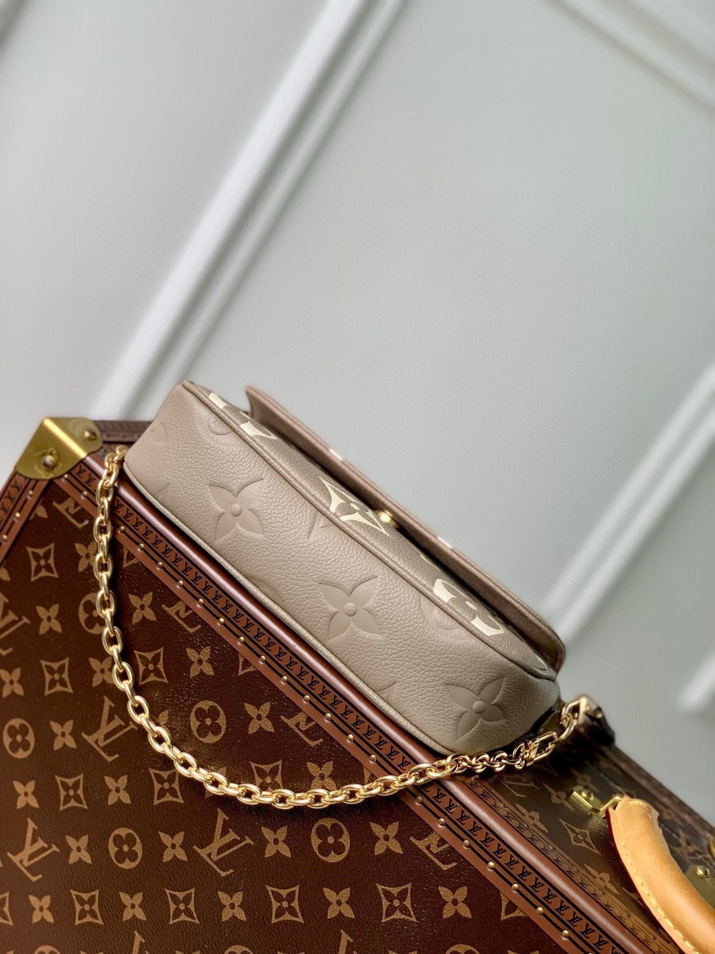 Louis Vuitton M82211 Wallet On Chain Ivy