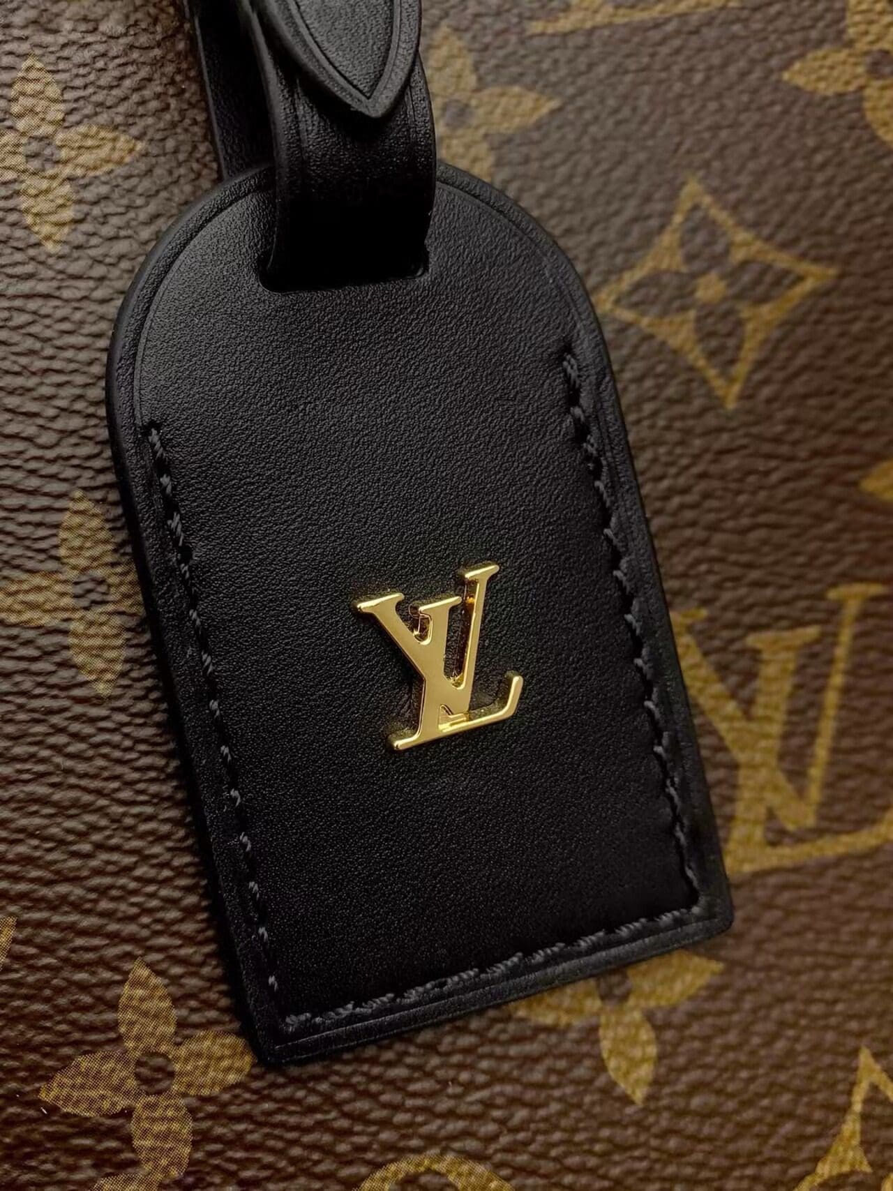 Louis Vuitton M45353 Odéon PM
