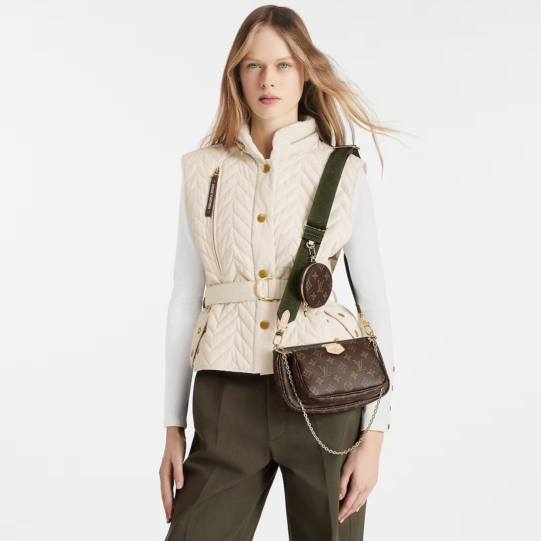 Louis Vuitton Multi Pochette Accessoires M44813