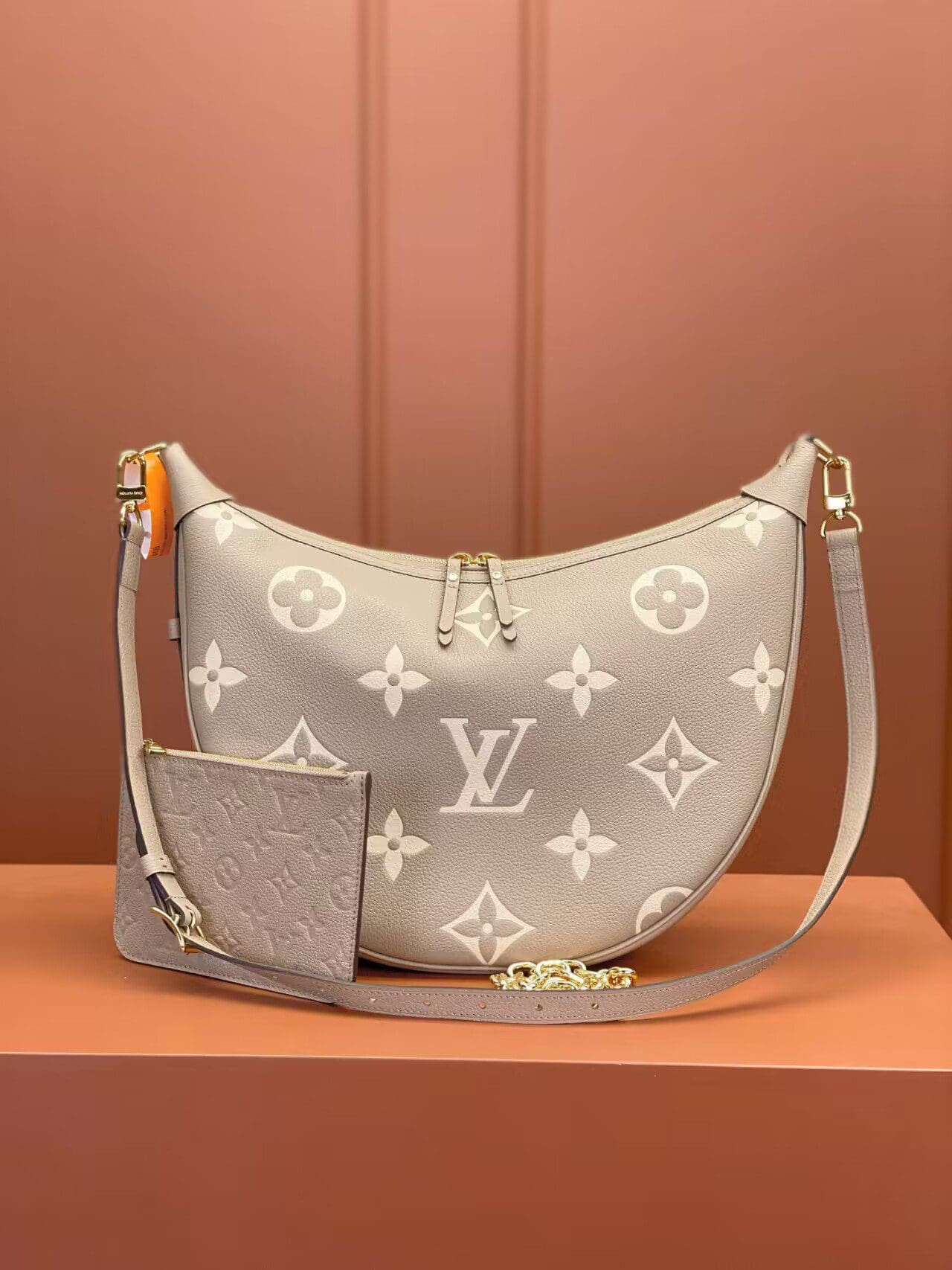 Louis Vuitton Loop Hobo M46738