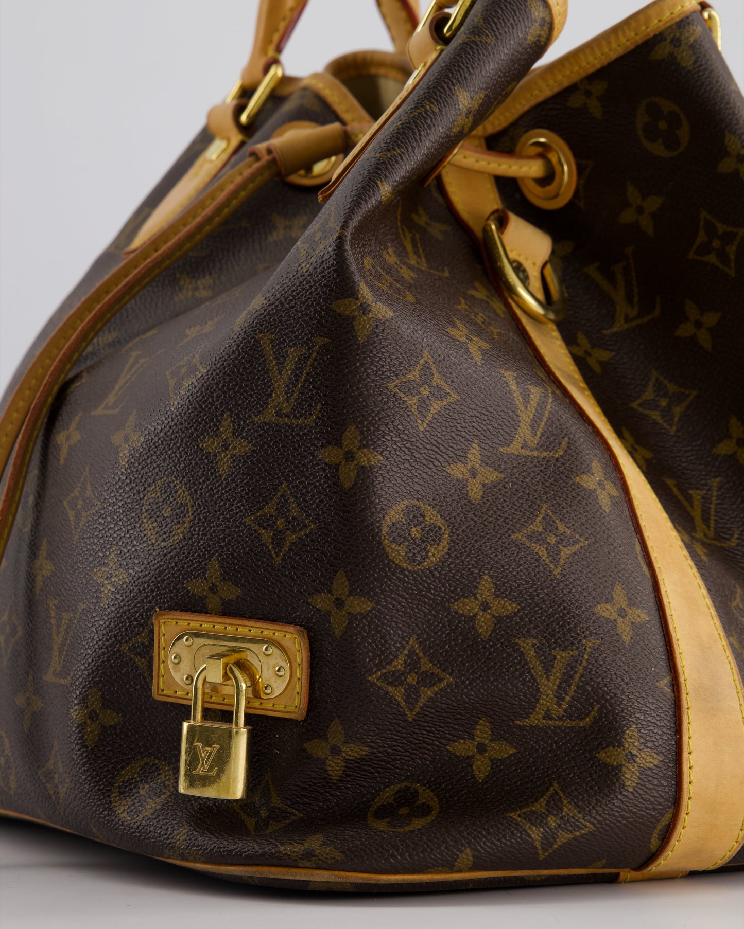 Louis Vuitton Brown Monogram Eden Neo Bag with Gold Hardware
