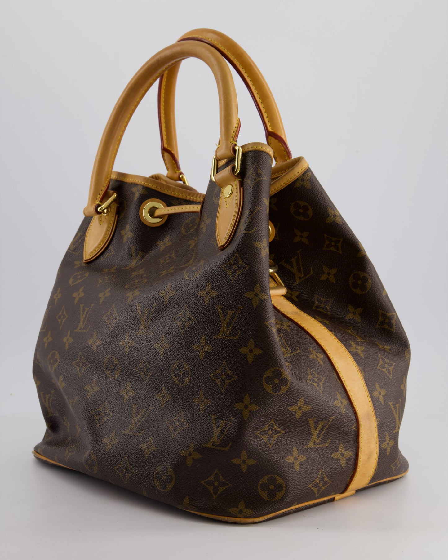 Louis Vuitton Brown Monogram Eden Neo Bag with Gold Hardware