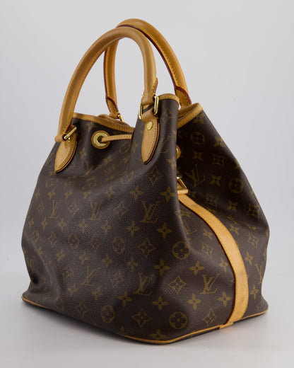Louis Vuitton Brown Monogram Eden Neo Bag with Gold Hardware