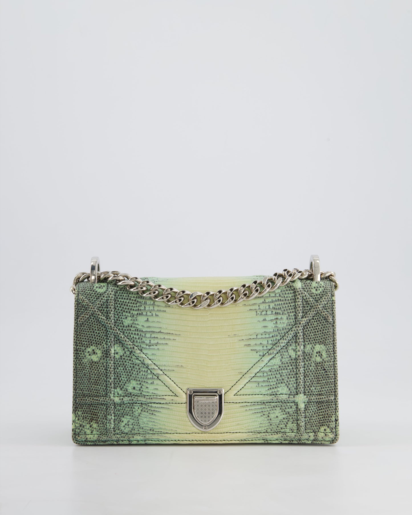 Christian Dior Small Diorama Flap Bag in Light Green Lizard With Silver Hardware