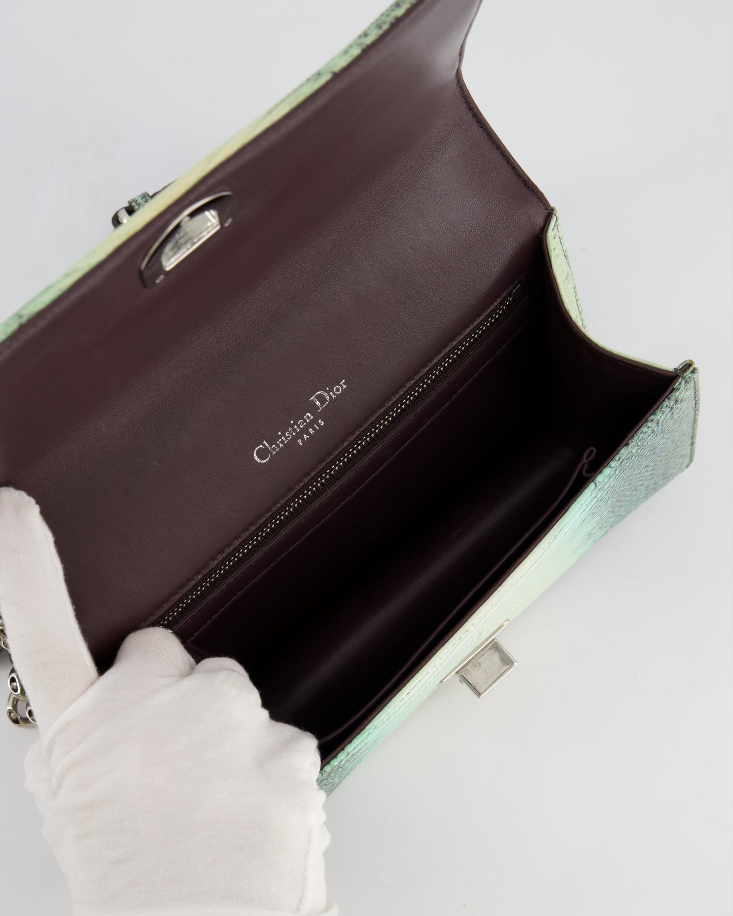 Christian Dior Small Diorama Flap Bag in Light Green Lizard With Silver Hardware