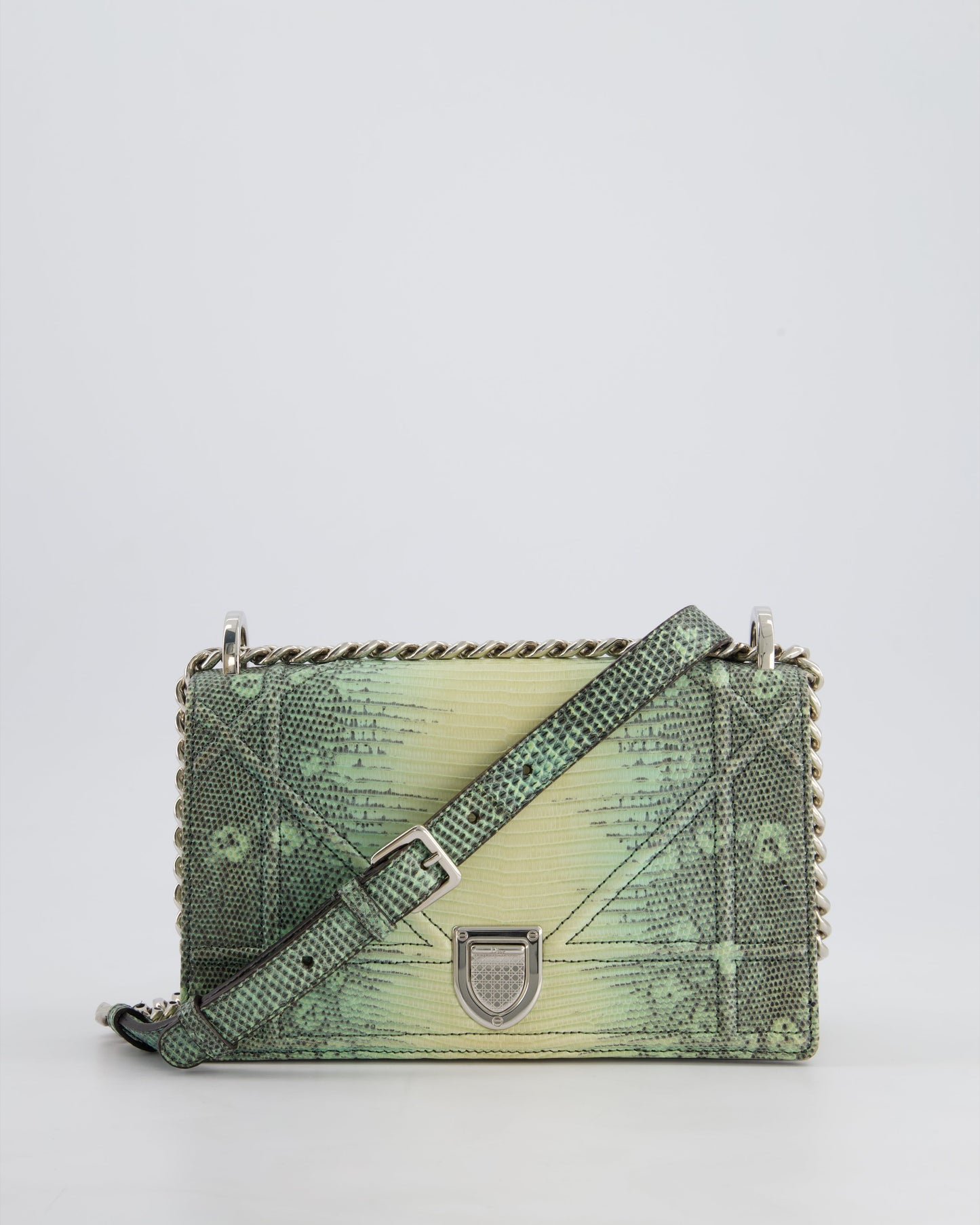 Christian Dior Small Diorama Flap Bag in Light Green Lizard With Silver Hardware