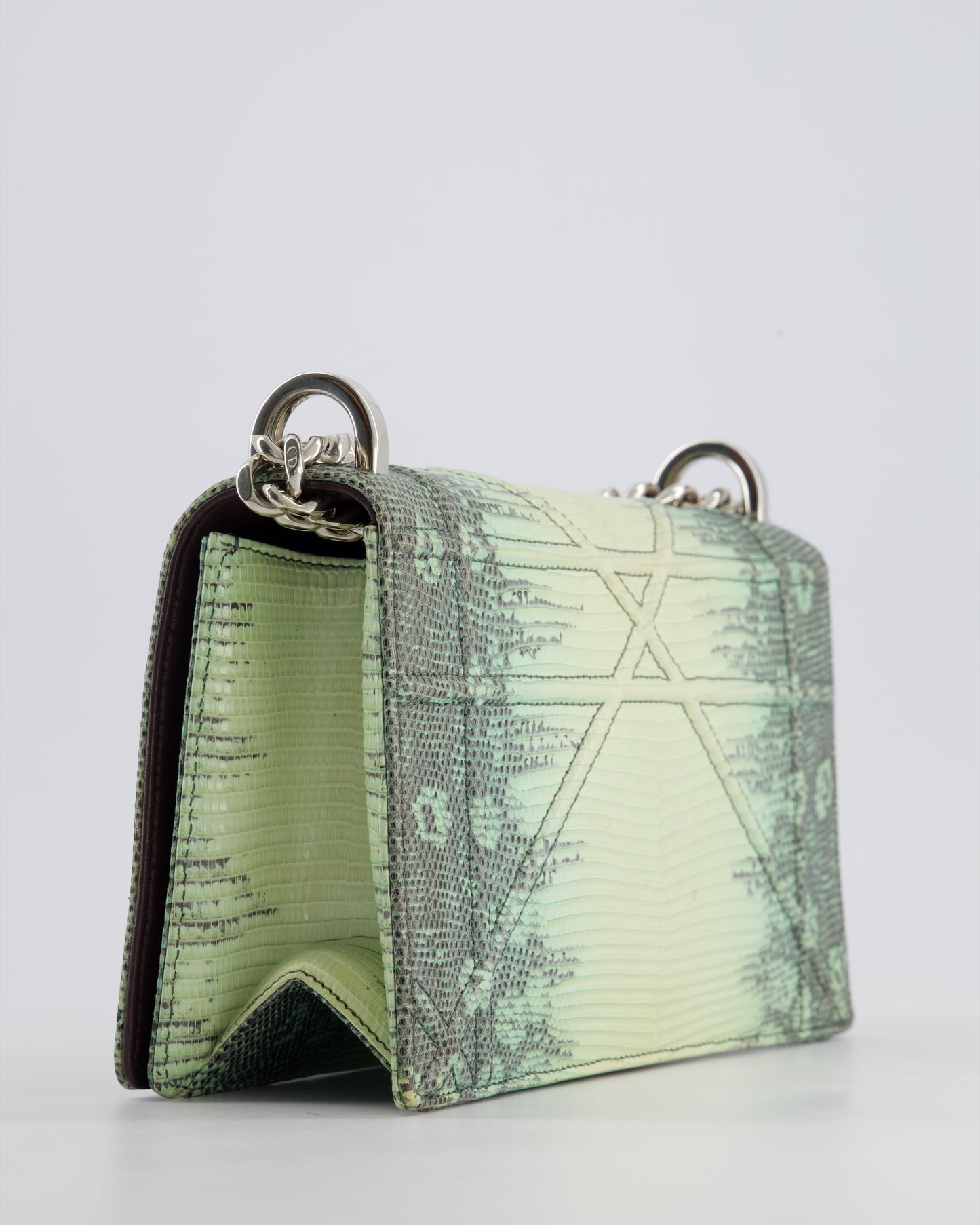 Christian Dior Small Diorama Flap Bag in Light Green Lizard With Silver Hardware