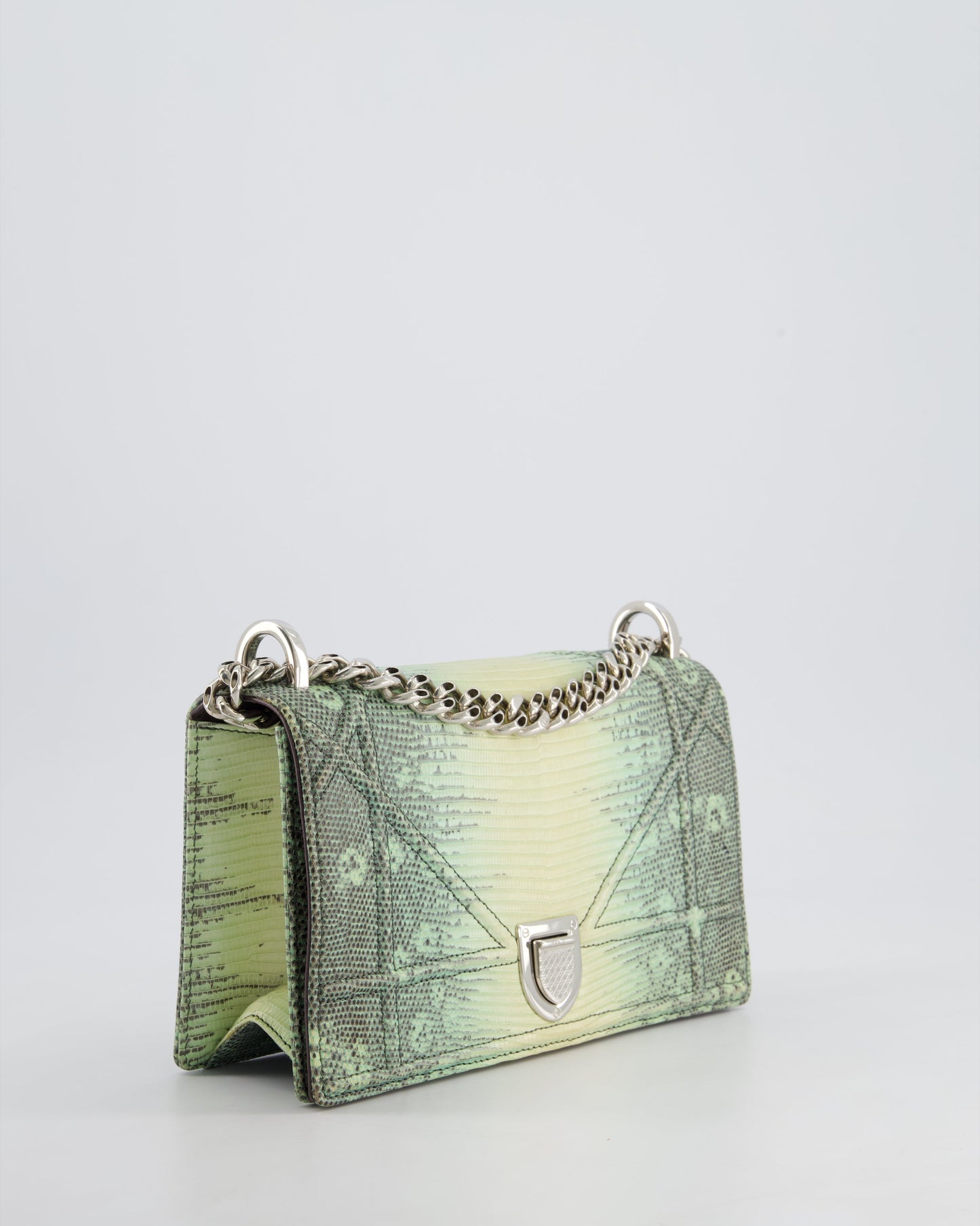 Christian Dior Small Diorama Flap Bag in Light Green Lizard With Silver Hardware
