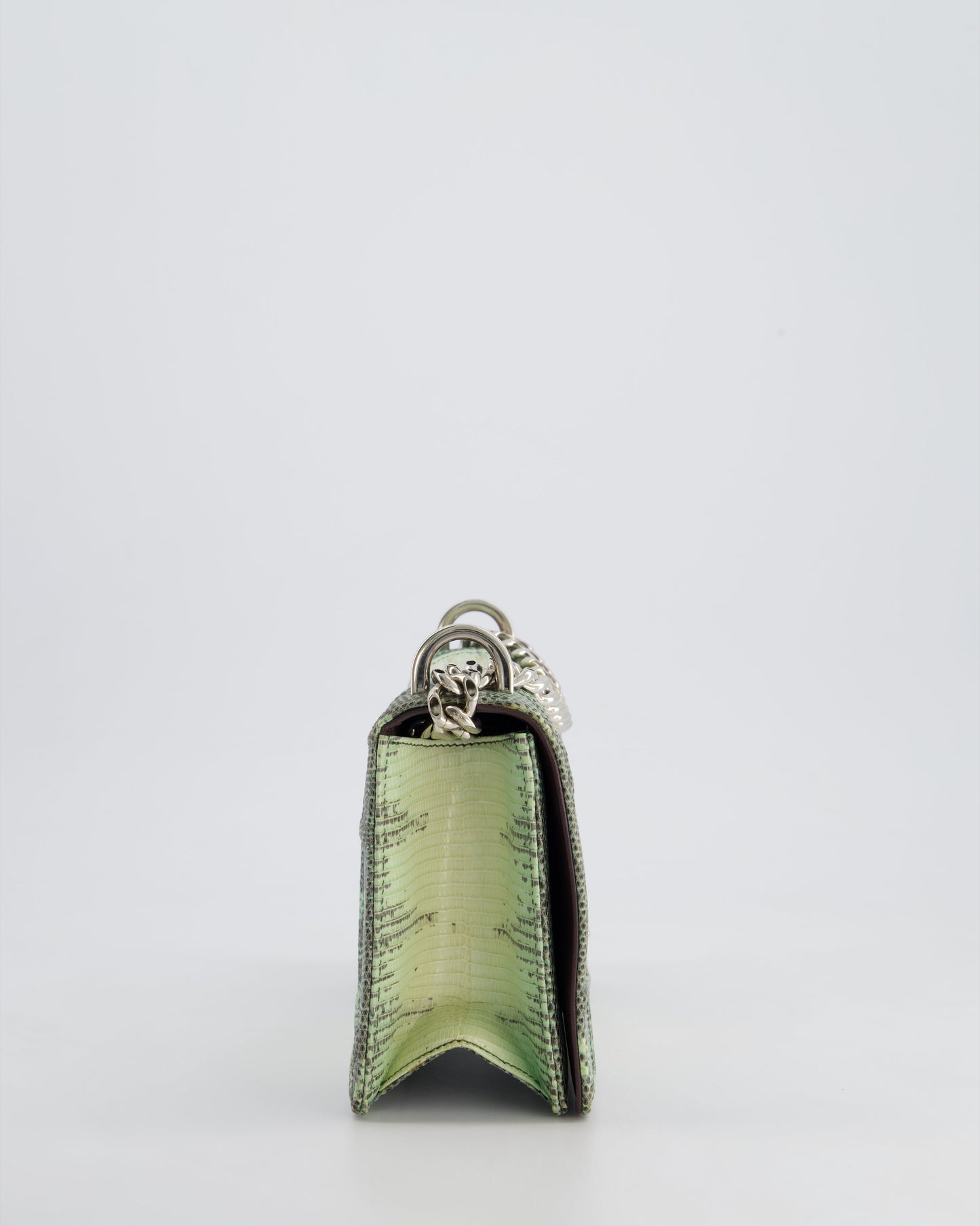 Christian Dior Small Diorama Flap Bag in Light Green Lizard With Silver Hardware
