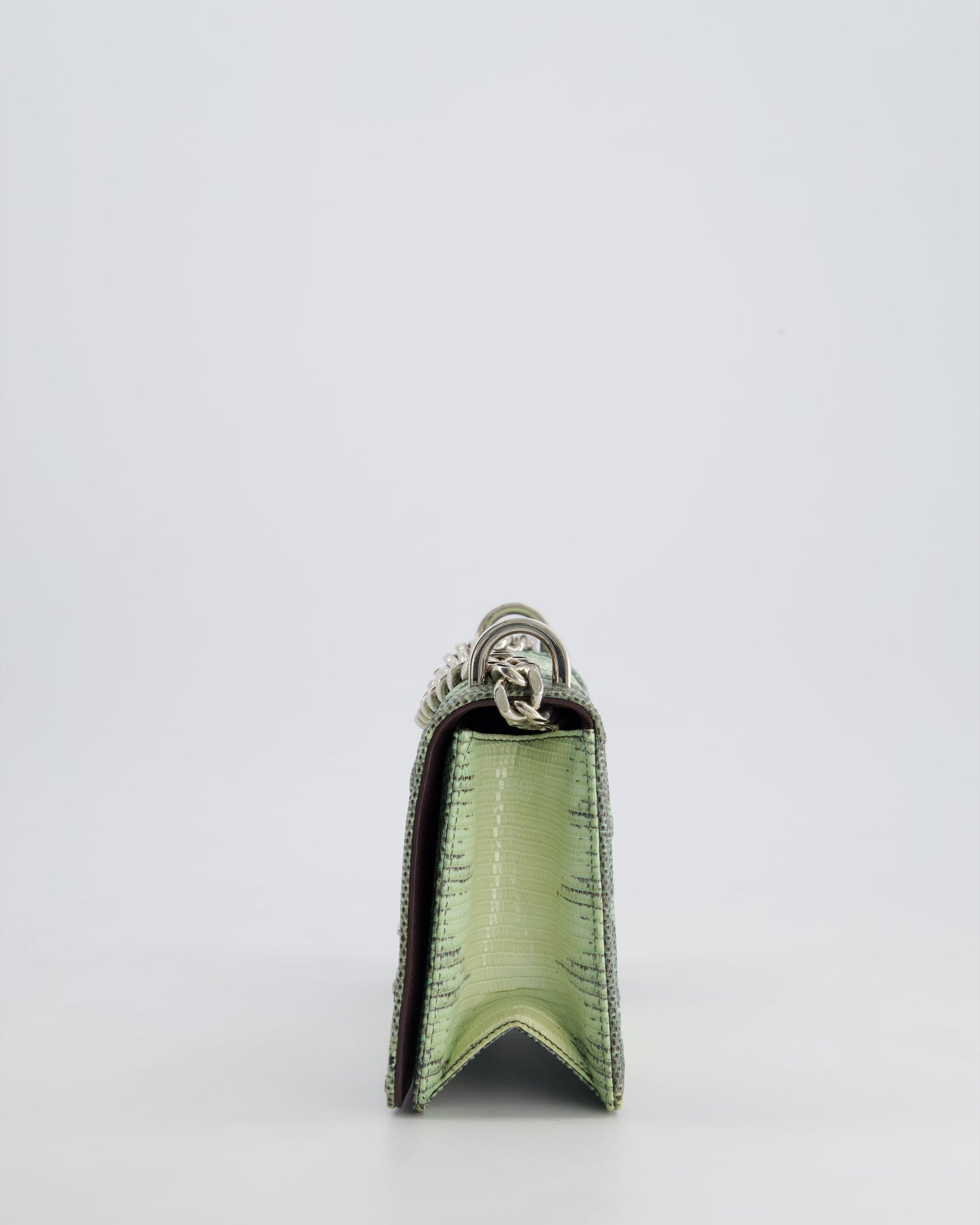 Christian Dior Small Diorama Flap Bag in Light Green Lizard With Silver Hardware