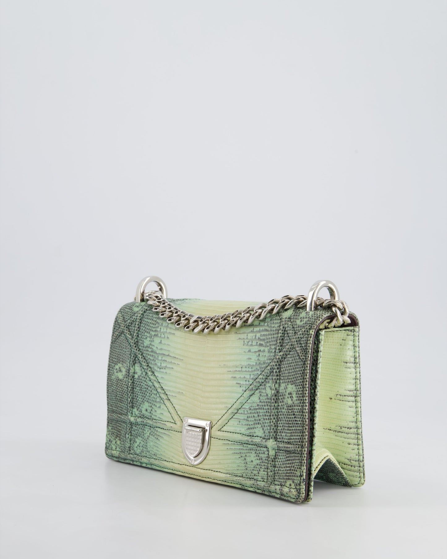 Christian Dior Small Diorama Flap Bag in Light Green Lizard With Silver Hardware