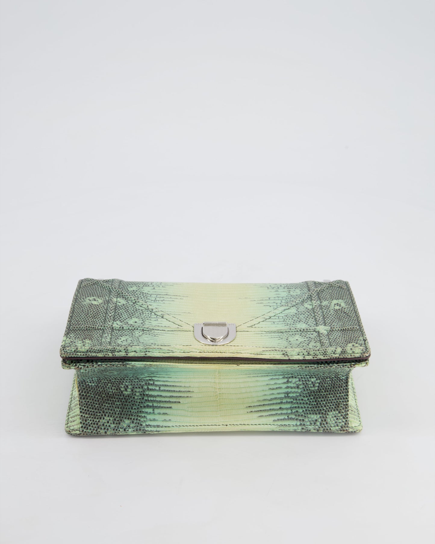 Christian Dior Small Diorama Flap Bag in Light Green Lizard With Silver Hardware
