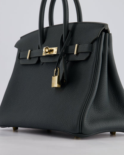 Hermès Birkin 25cm Retourne Bag in Vert Mangrove Togo Leather with Permabrass Hardware