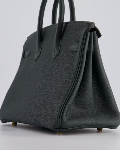 Hermès Birkin 25cm Retourne Bag in Vert Mangrove Togo Leather with Permabrass Hardware