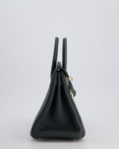 Hermès Birkin 25cm Retourne Bag in Vert Mangrove Togo Leather with Permabrass Hardware