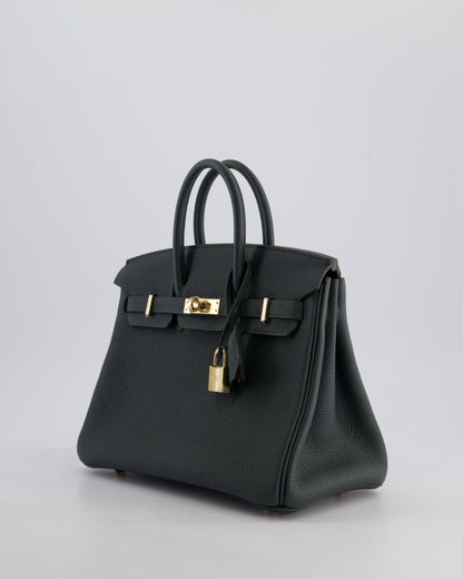 Hermès Birkin 25cm Retourne Bag in Vert Mangrove Togo Leather with Permabrass Hardware