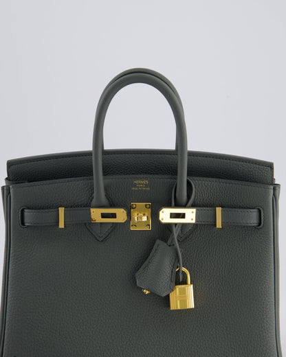 *SUPER HOT COLOUR* Hermès Birkin 25cm Retourne Bag in Vert Amande Togo Leather with Gold Hardware
